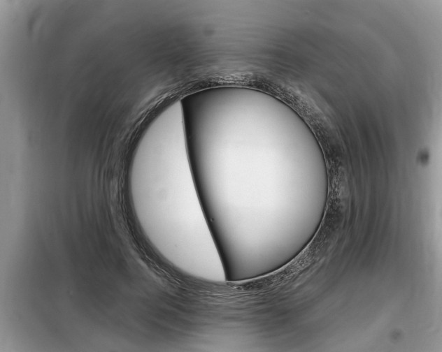 X0000099290744200805020733