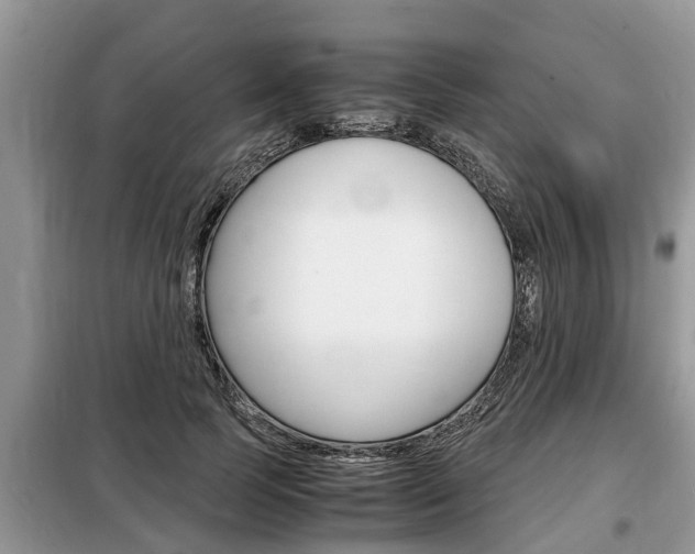 X0000099290745200805020733