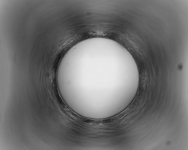 X0000099290747200805020733