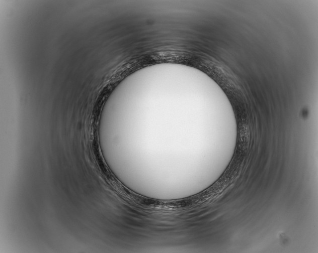 X0000099290751200805020733