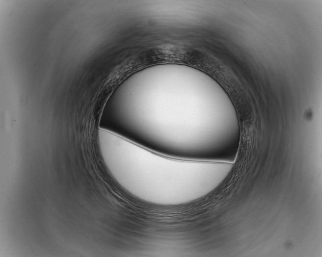 X0000099290752200805020733