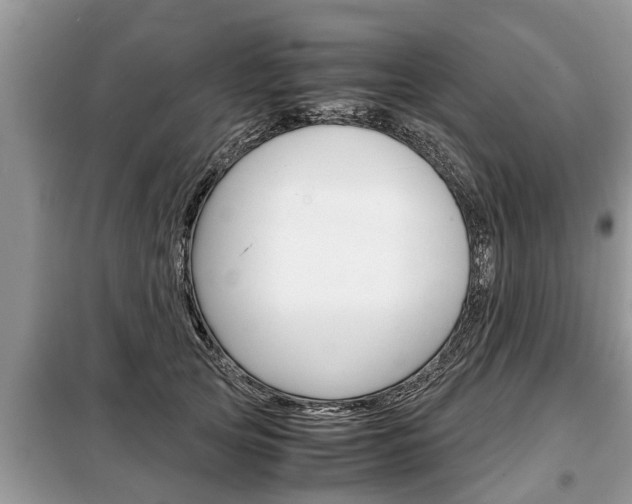 X0000099290753200805020733