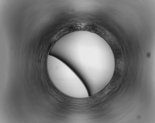 X0000099290754200805020733