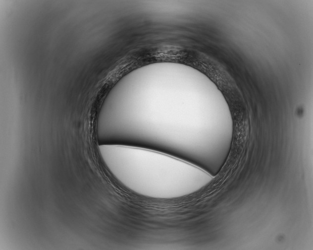 X0000099290755200805020733