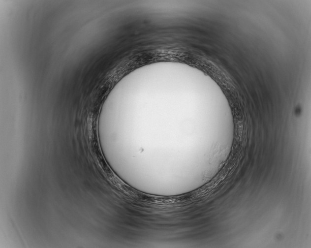 X0000099290757200805020733