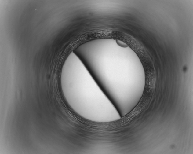 X0000099290758200805020733