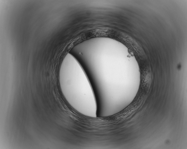 X0000099290759200805020733