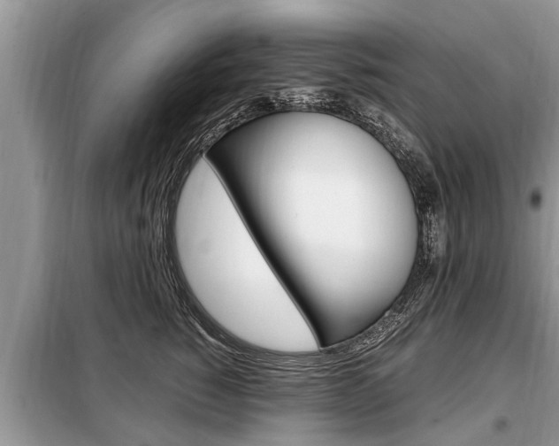 X0000099290760200805020733