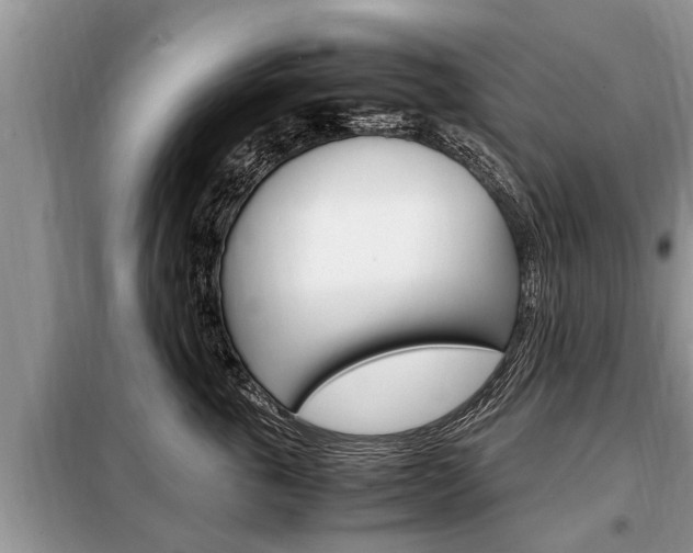X0000099290763200805020733