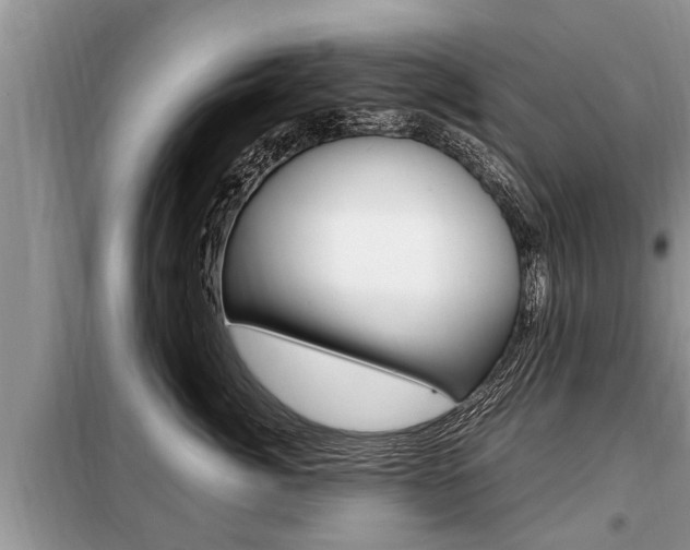 X0000099290764200805020733