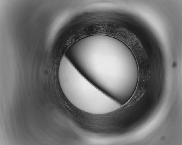 X0000099290766200805020733