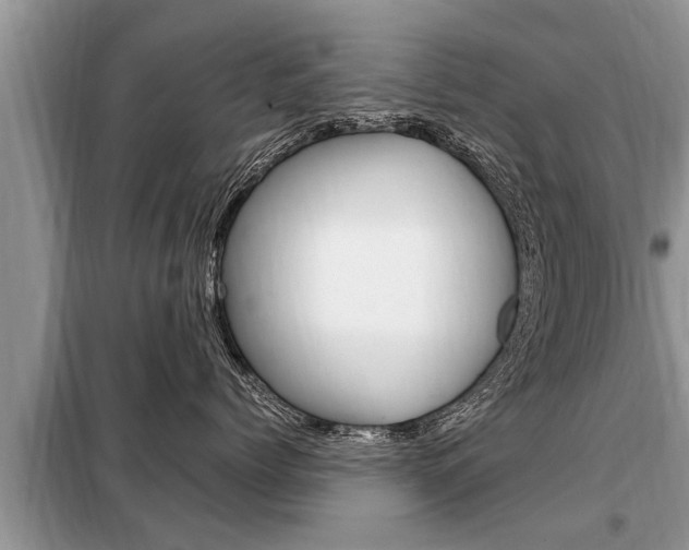 X0000099290768200805020733