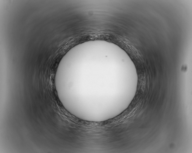 X0000099290770200805020733