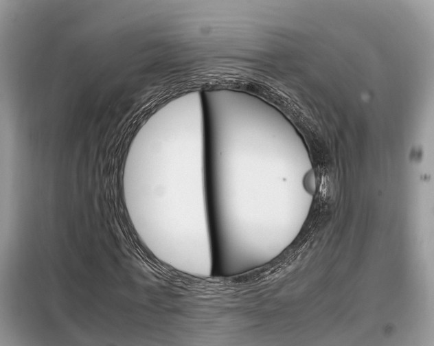 X0000099290771200805020733