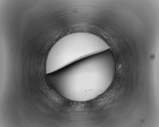 X0000099290772200805020733