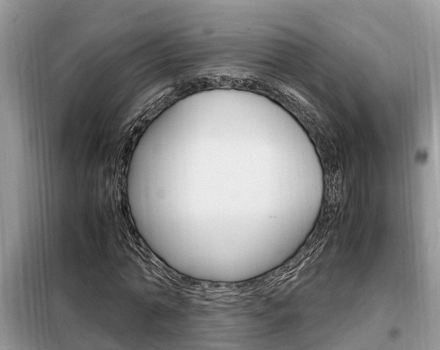 X0000099290774200805020732