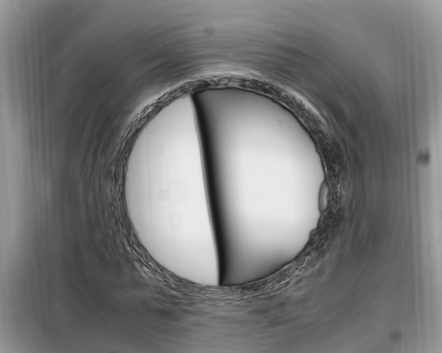 X0000099290775200805020732