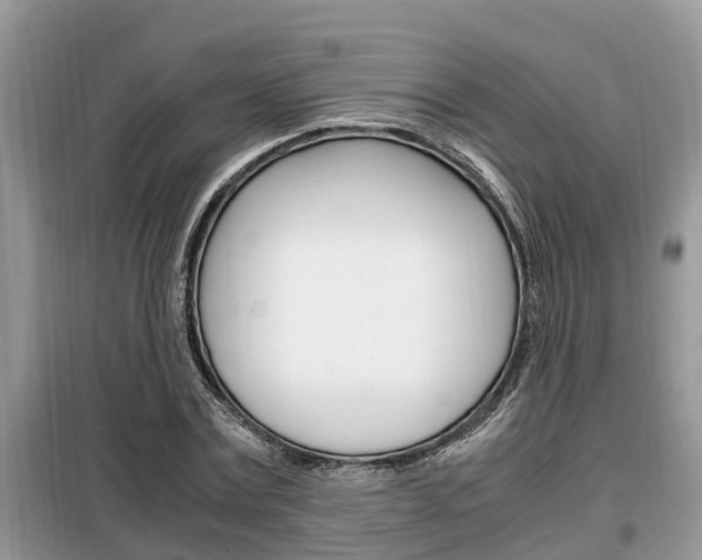 X0000099290779200805020732