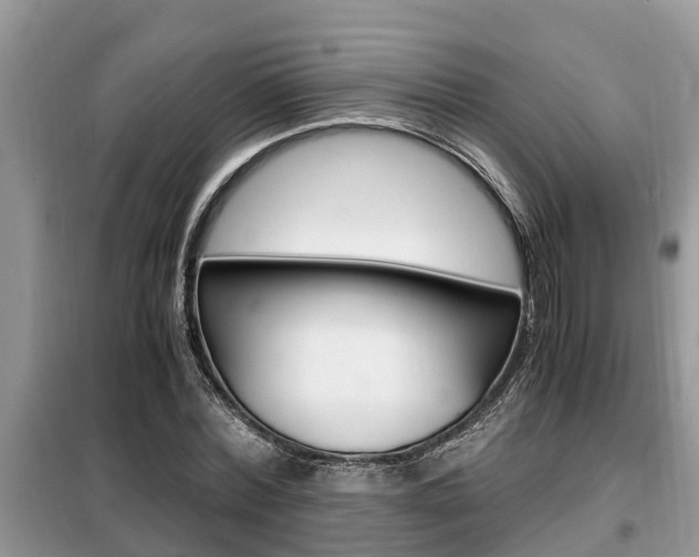 X0000099290780200805020732