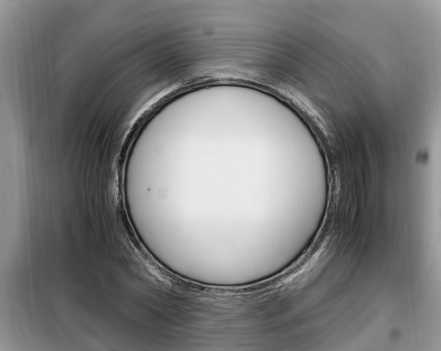 X0000099290782200805020732