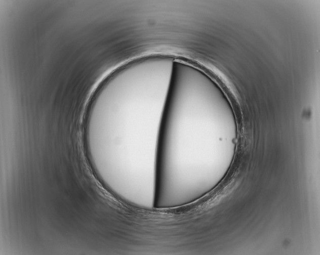 X0000099290783200805020732
