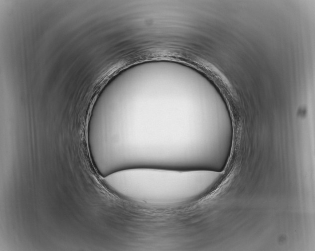 X0000099290785200805020732