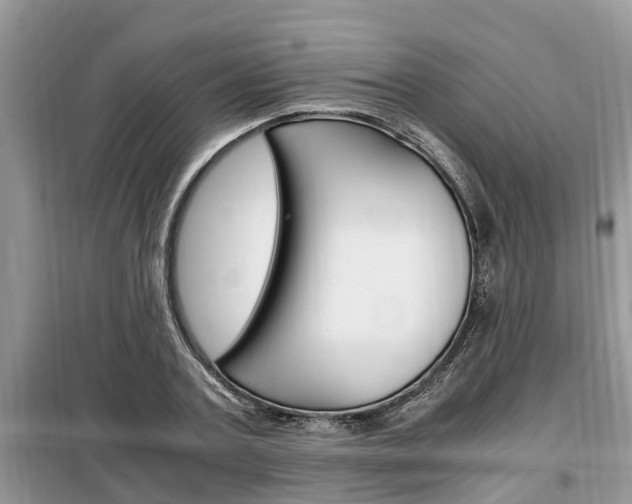 X0000099290787200805020732