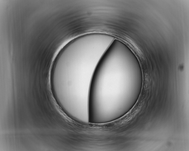 X0000099290788200805020732