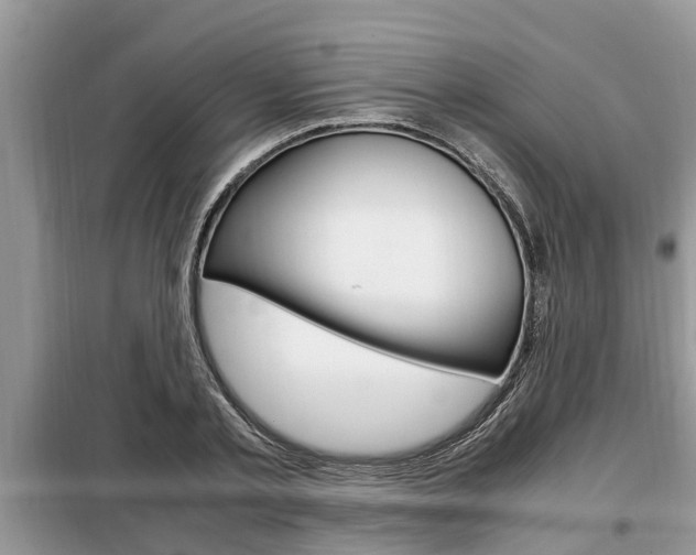 X0000099290789200805020732