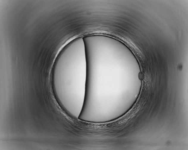 X0000099290790200805020732
