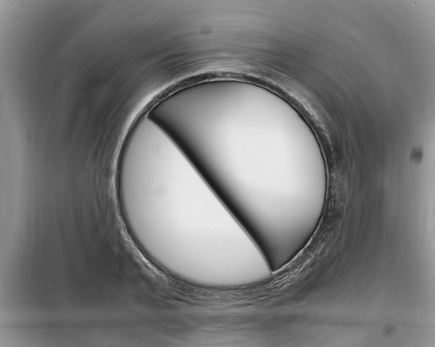 X0000099290791200805020732