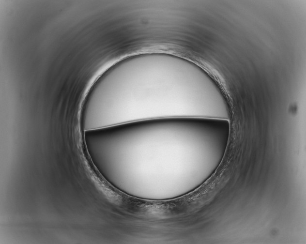 X0000099290792200805020732