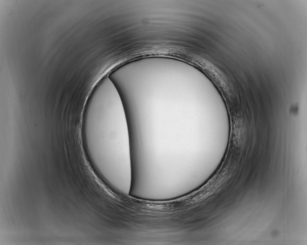 X0000099290794200805020732