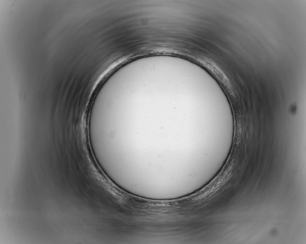 X0000099290798200805020732