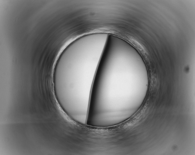 X0000099290800200805020732