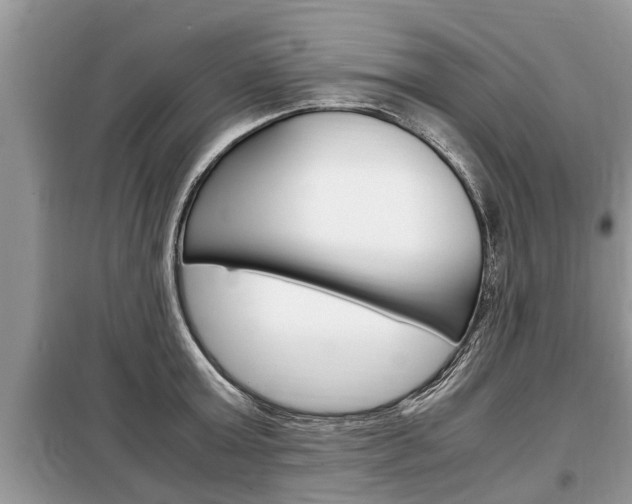 X0000099290803200805020732
