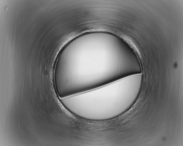 X0000099290805200805020732