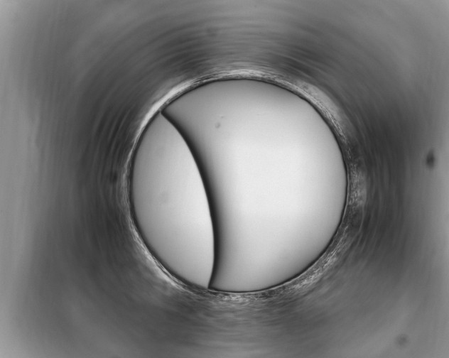 X0000099290806200805020732