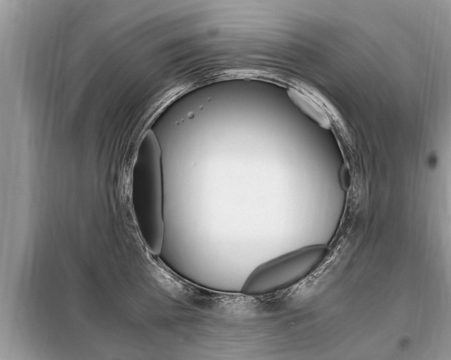 X0000099290809200805020732