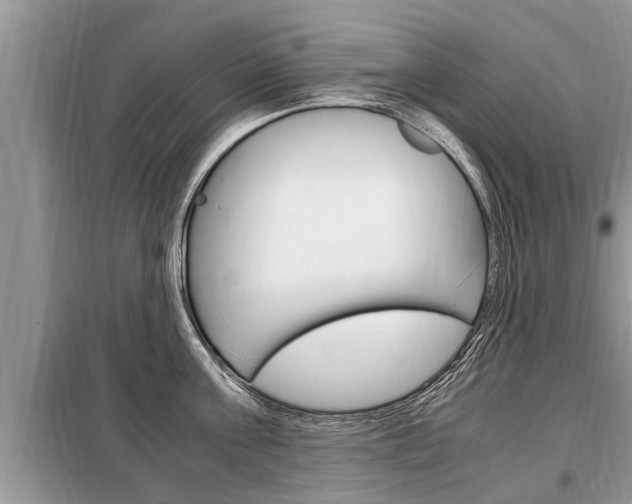 X0000099290811200805020732