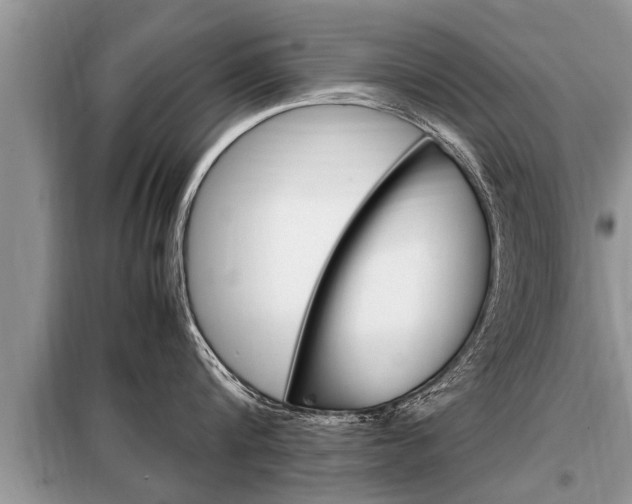 X0000099290816200805020732