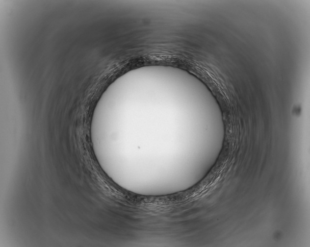 X0000099290817200805020731