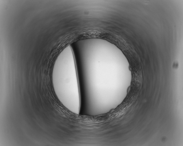 X0000099290818200805020731