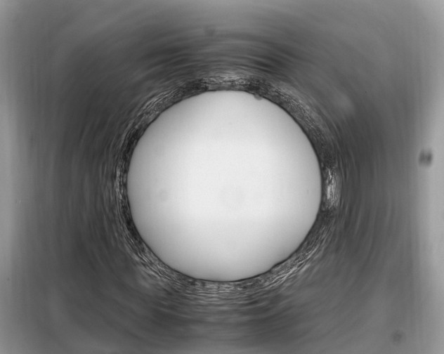 X0000099290819200805020731