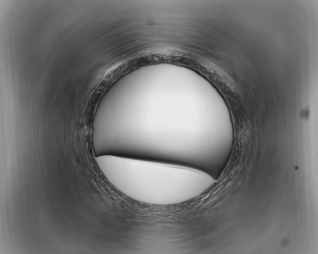 X0000099290822200805020731