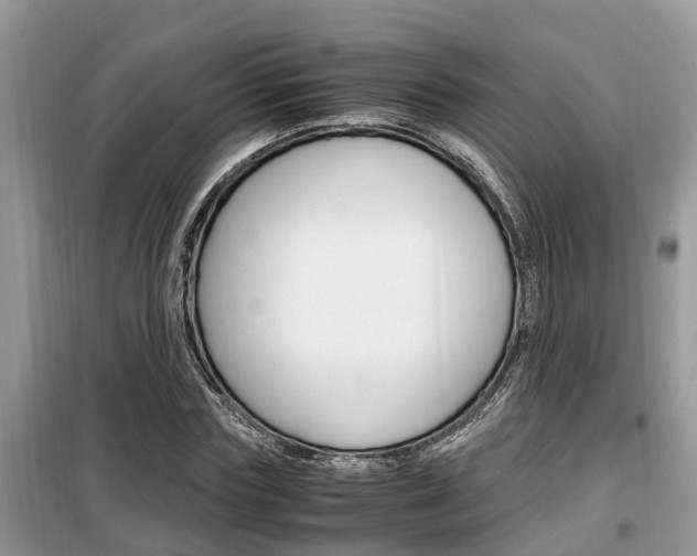 X0000099290827200805020731