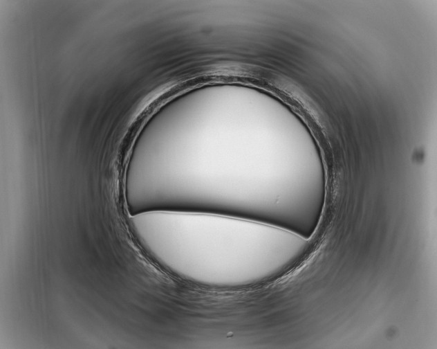 X0000099290829200805020731