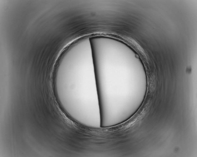X0000099290831200805020731