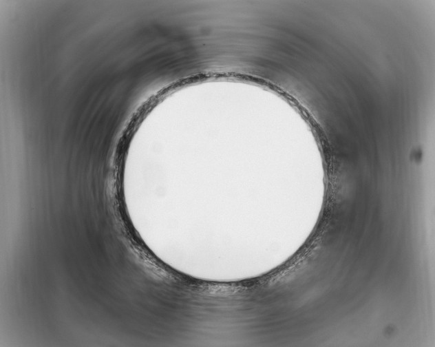 X0000099290832200805020731