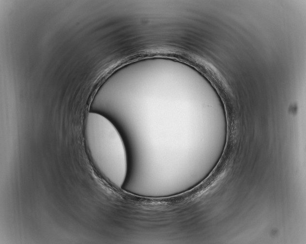 X0000099290833200805020731